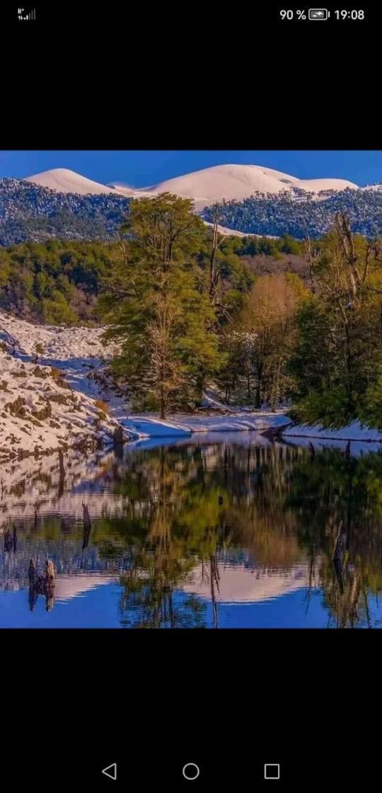 Cabana May Pao, Para 3 En Melipeuco Cerca Del Parque Nacional Conguillio Exterior foto